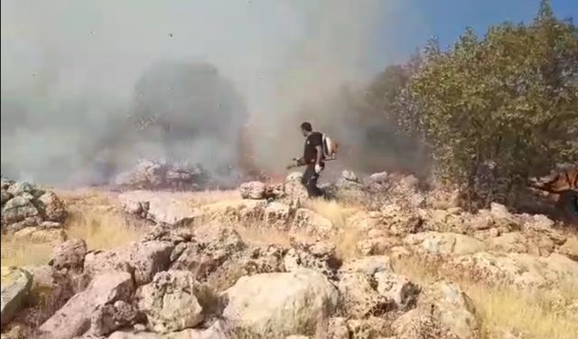 Mardin'deki örtü yangını 5 saatte söndürüldü