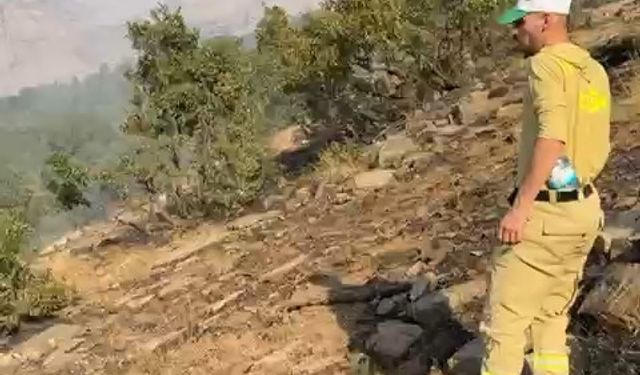 Şırnak’ta ormanda örtü yangını (2)