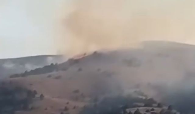 Sivas'taki anız yangını ağaçlara sıçradı
