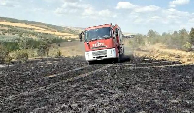 Tekirdağ'da çıkan orman yangını, 1 saatte kontrol altına alındı /Video eklendi