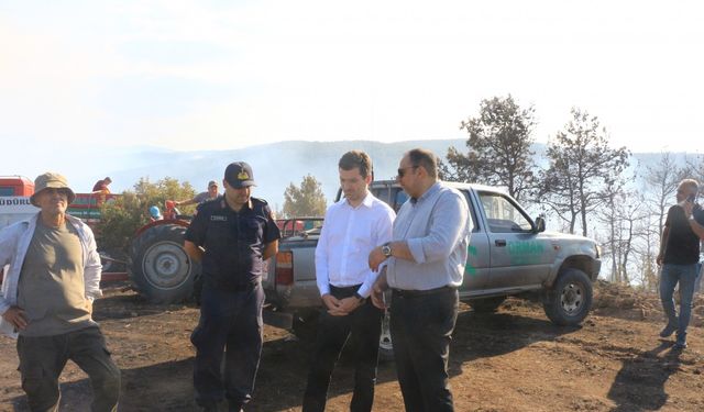 Tokat’ta orman yangını (2)