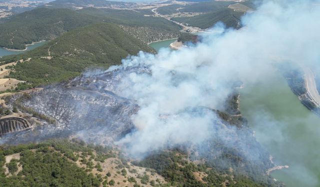 Tokat’ta orman yangını / Ek fotoğraflar