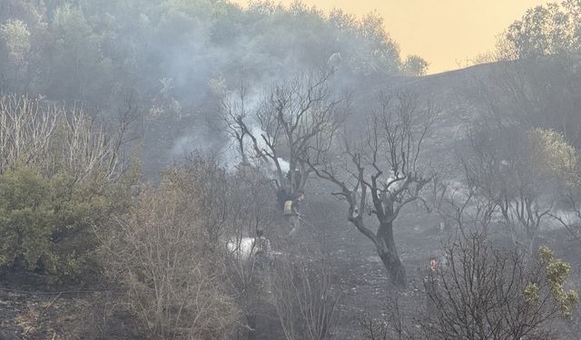 Turgutlu’da maki ve zeytinlikteki yangın, ormana sıçramadan söndürüldü