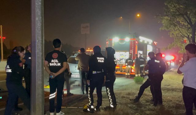 Yol ortasına otururken otomobil çarptı; kurtarılamadı