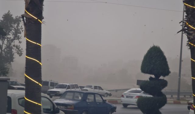 Adana ve Osmaniye'de sağanak ve şiddetli rüzgar; okul çatısı uçtu