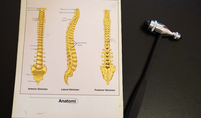 Ağır okul çantaları skolyozu tetikliyor; ağrılar kronikleşiyor