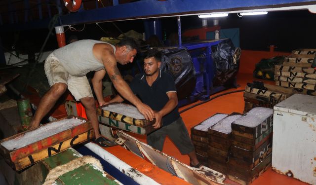 Akdeniz'de av yasağı kalktı; 1 kilo fiyatına 1 kasa balık