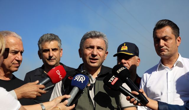 Alanya'daki orman yangınında 2'nci gün (5)