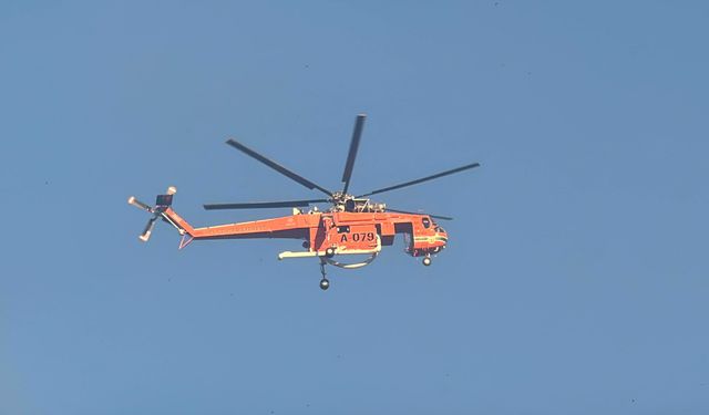 Alanya'daki orman yangınında 2'nci gün