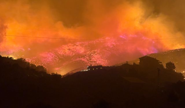 Antalya'da orman yangını (3)