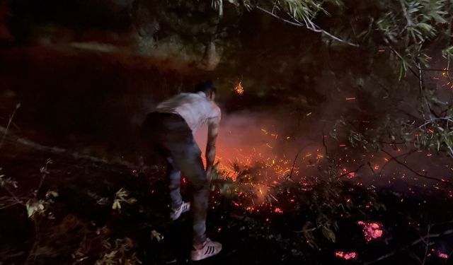 Antalya'daki sazlık yangını 2,5 saatte söndürüldü (2)
