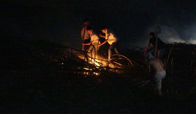 Antalya'daki sazlık yangını 2,5 saatte söndürüldü