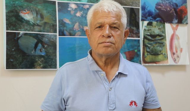 Balık 650, başındaki taş 10 bin lira