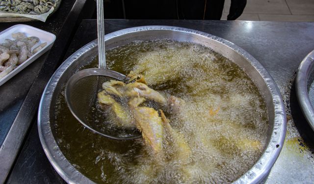 Balık bollaştı, fiyatlar düştü