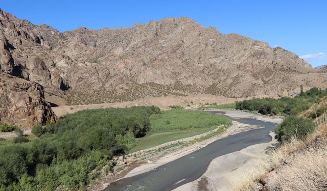 Baraj gölünde suyun çekildiği alan yeşile büründü