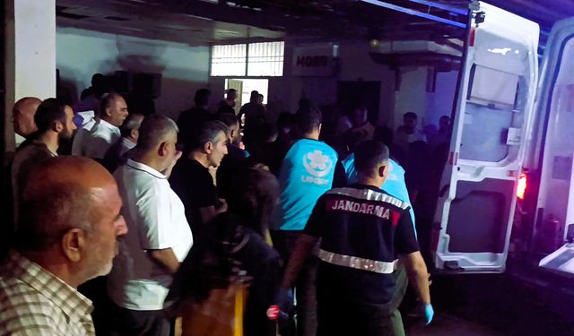 Batman'da hafif ticari araca silahlı saldırı: Anne, baba ve 2 çocuğu öldü/Ek fotoğraf