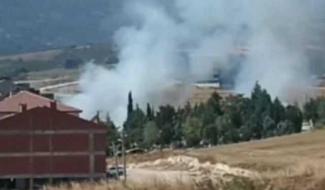 Bursa'da anız yangını; 30 dönümlük alan zarar gördü