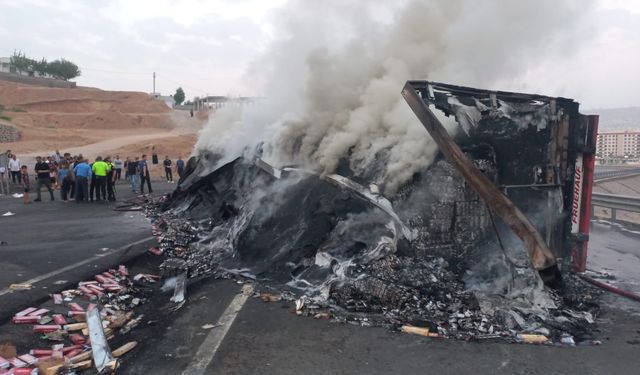 Devrilip alev alan TIR'ın şoförü hayatını kaybetti