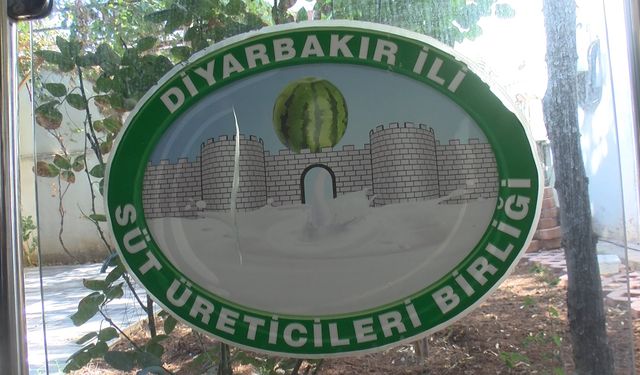 Diyarbakır'da 76 dev karpuz, yarışma öncesi soğuk hava deposunda korunuyor