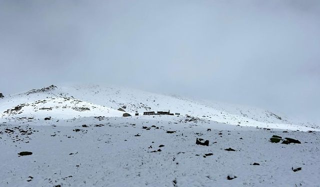 Doğu Karadeniz'in yüksekleri beyaza büründü; çobanlar sürülerini yayladan indirdi / Ek fotoğraflar