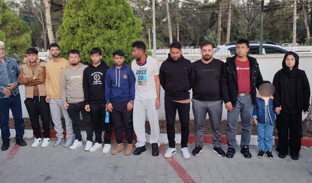 Edirne'de 12 kaçak göçmen yakalandı; 1 gözaltı