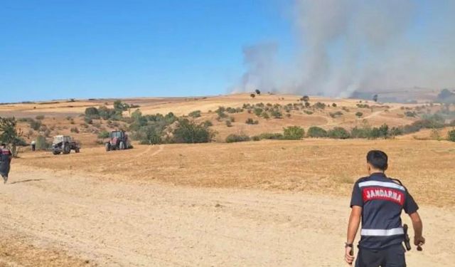Edirne'de buğday tarlasından ağaçlara sıçrayan yangın söndürüldü