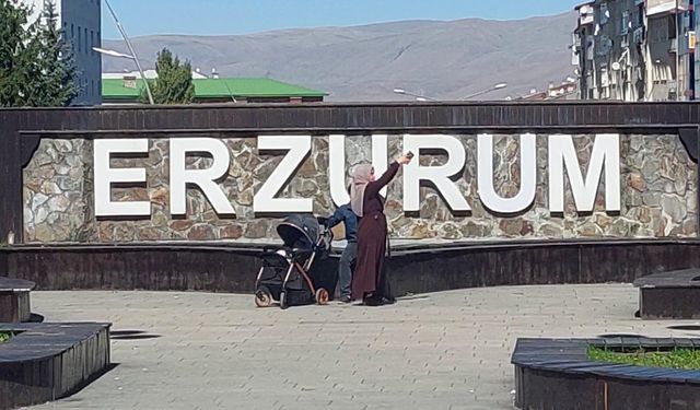 Erzurum'da 4.4 büyüklüğünde deprem (2)