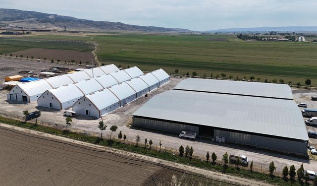 Eskişehir'de büyükşehir hayvan pazarı kapatıldı