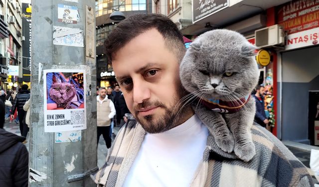 Fanatik kedi ‘Tom'a maç izlemek için stadyuma vize