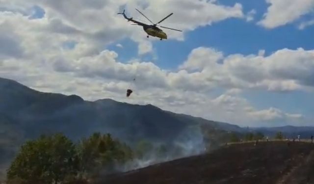 Fındık bahçesinde çıkan yangın, ormana sıçramadan kontrol altına alındı