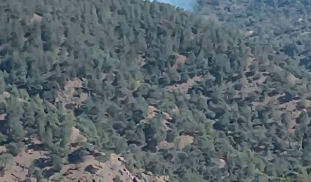 Gaziantep'te orman yangını 1,5 saatte söndürüldü