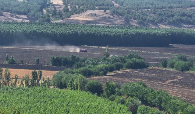 Hevsel Bahçeleri'nde çıkan anız yangını söndürüldü