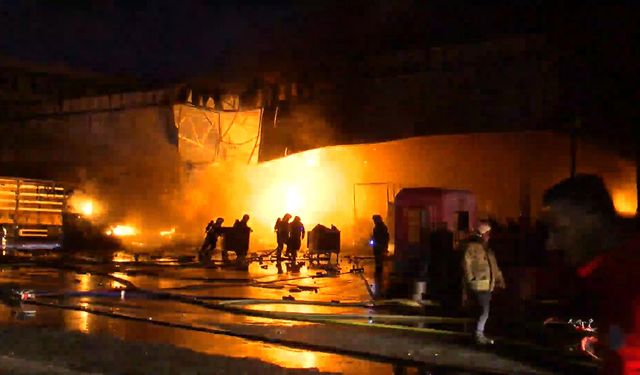 İstanbul- Başakşehir İkitelli Organize Sanayi Bölgesi'nde yangın -4 / Ek görüntü