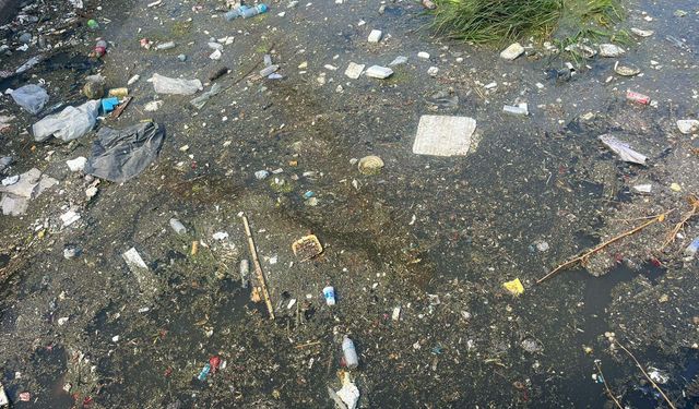 İzmir'de derede kirlilik
