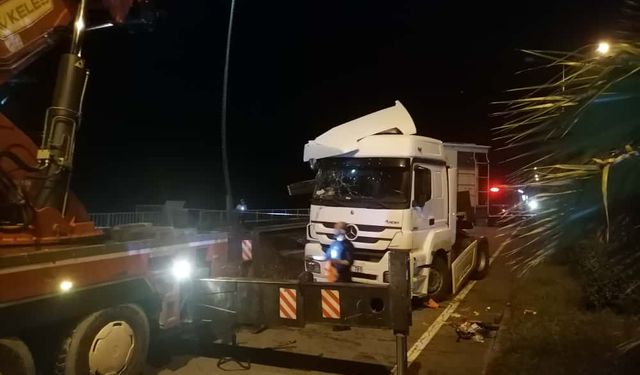 Karadeniz Sahil Yolu'nda TIR devrildi: 2 yaralı