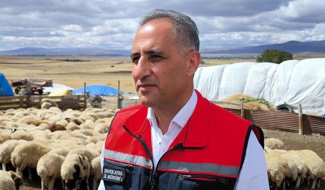 Kars'ta 1,5 milyon küçükbaş, hastalıklara karşı aşılanıyor