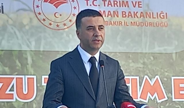 Kuraklığın vurduğu Diyarbakır karpuzunda birincilik 39 kiloda kaldı