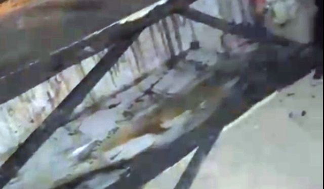 Öldürülen jeoloji mühendisinin banka hesaplarından 750 bin TL kredi çekildiği iddiası