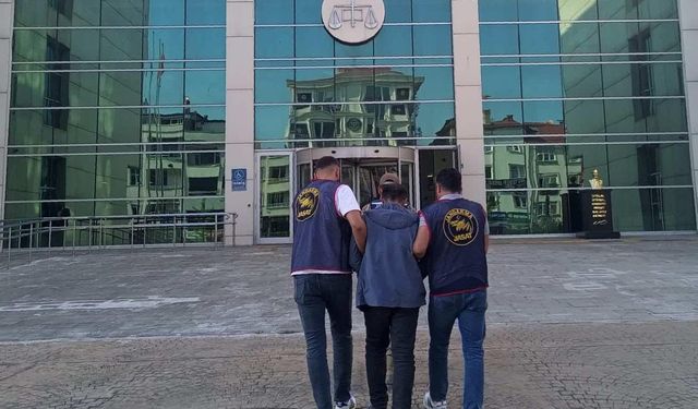 Ordu'da bahçelerden 1,5 ton fındık çalan hırsız yakalanıp, tutuklandı