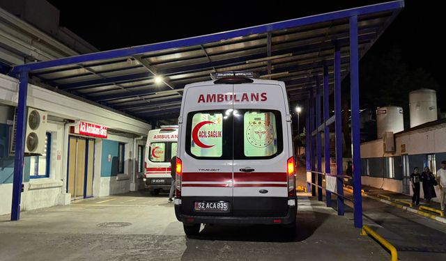 Ordu'da bıçaklı kavga: 1 yaralı