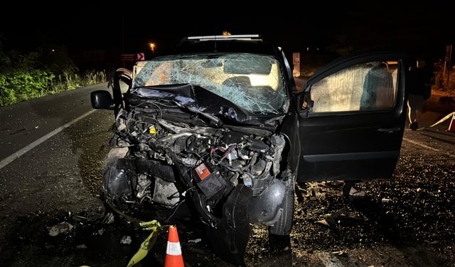 Ordu'da hafif ticari araçlar çarpıştı; 1 ölü, 2 yaralı