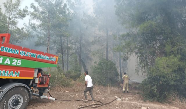 Osmaniye'de orman yangını