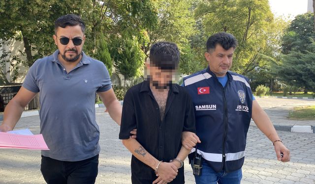 Park halindeki kamyonetin 10 bin lira değerindeki havalı kornasını çaldı