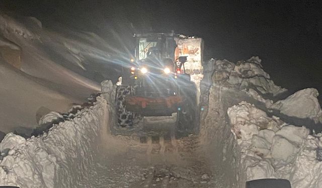 Rize ve Artvin'de selin izleri siliniyor (9)