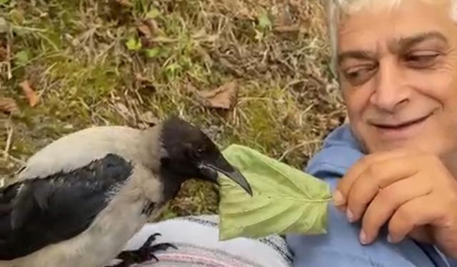 ‘Şakir' ismini verdiği kargaya çocuğu gibi bakıyor
