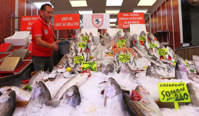Samsun'da av sezonun ilk balıkları tezgaha çıktı