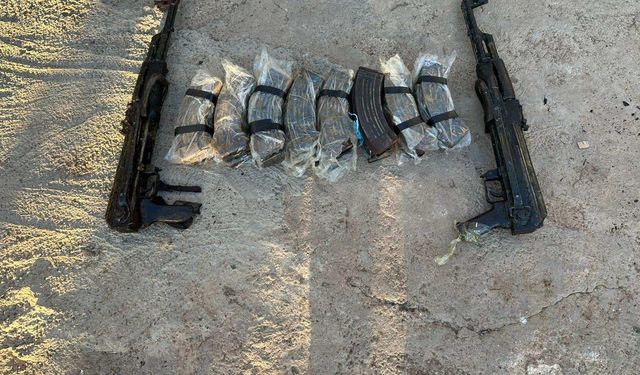 Şırnak'ta 42 bin kök kenevir ele geçirildi: 5 gözaltı