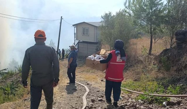Türk Kızılay'ın orman yangınlarıyla mücadeleye desteği sürüyor