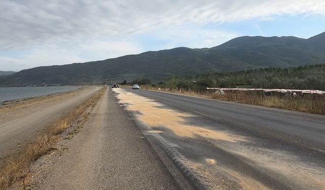 Yakıt dökülen yolda kayan otomobil İznik Gölü'ne uçtu
