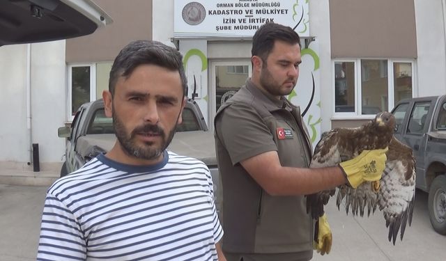 Yaralı bulduğu şahini ekiplere teslim etti